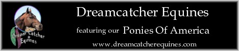 Color your world with PONIES OF AMERICA. Home to Color Me Awsome!