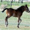 May 25th, 2009 ... Beautiful baby!