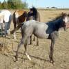 Taken in September 2009 (3 months old) ...colours are a changing