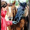 Debbie and the Fillies